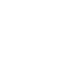 Form Icon (White)